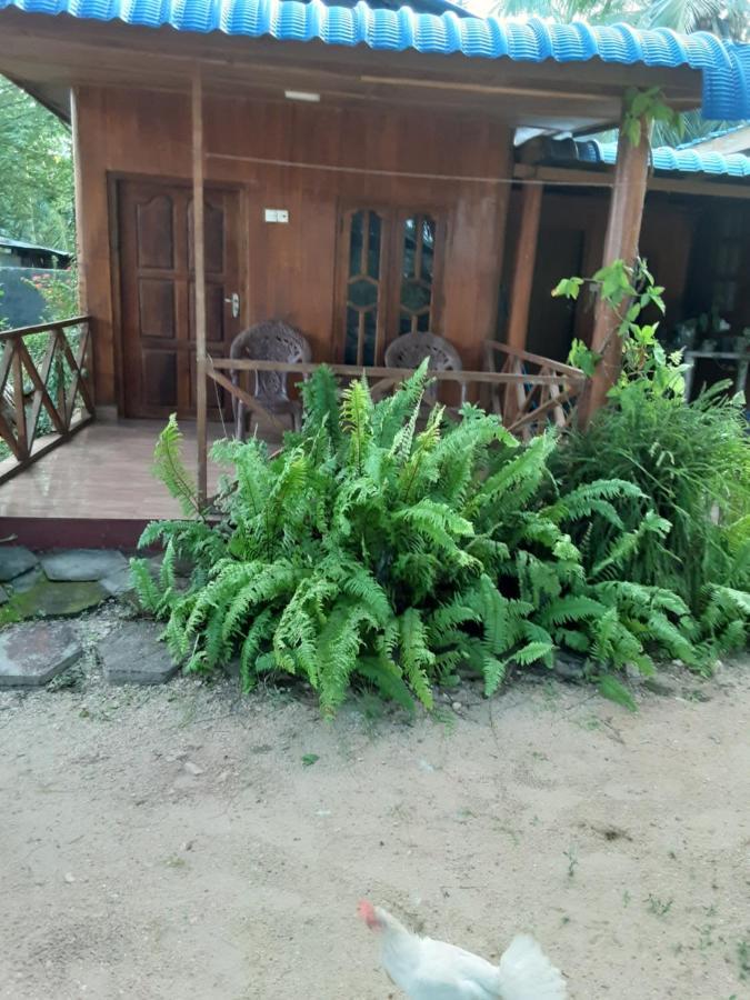 Gopalapuram Guest House Nilaveli Buitenkant foto