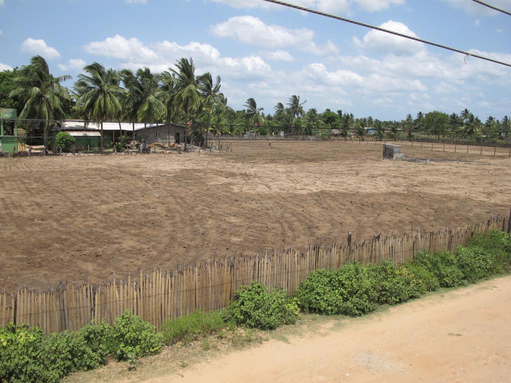 Gopalapuram Guest House Nilaveli Buitenkant foto
